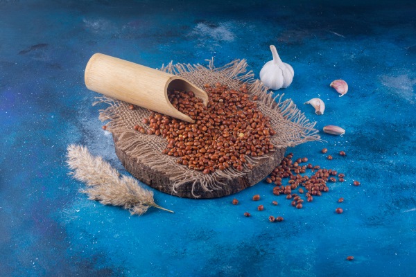 Drumsticks Seeds Manufacturers in Jammu 